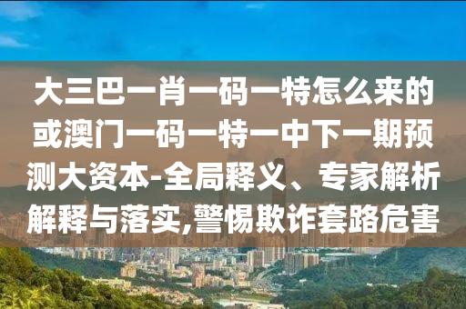 大三巴一肖一碼一特怎么來的或澳門一碼一特一中下一期預測大資本-全局釋義、專家解析解釋與落實,警惕欺詐套路危害