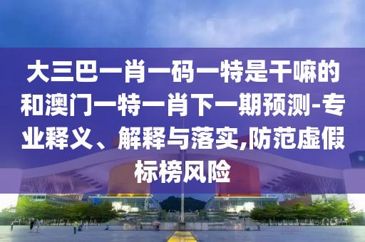 大三巴一肖一碼一特是干嘛的和澳門一特一肖下一期預測-專業釋義、解釋與落實,防范虛假標榜風險