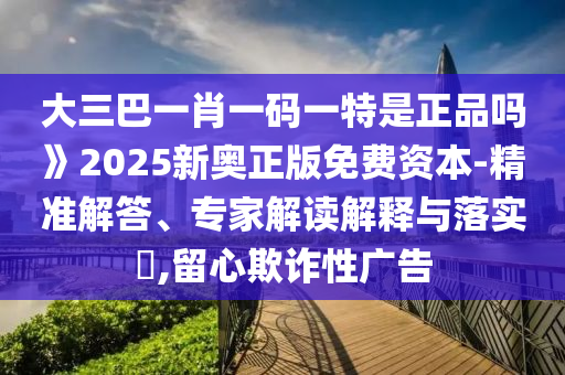 大三巴一肖一碼一特是正品嗎》2025新奧正版免費資本-精準解答、專家解讀解釋與落實?,留心欺詐性廣告