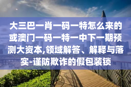 大三巴一肖一碼一特怎么來的或澳門一碼一特一中下一期預測大資本,領域解答、解釋與落實-謹防欺詐的假包裝鎖