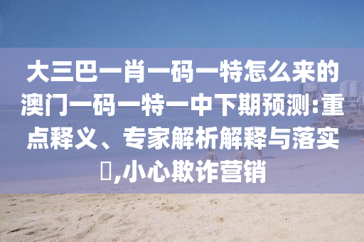 大三巴一肖一碼一特怎么來的澳門一碼一特一中下期預(yù)測:重點釋義、專家解析解釋與落實?,小心欺詐營銷